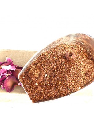 rooibos bio aux fruits rouges