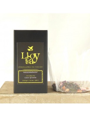 infusion bio aux fruits rouges