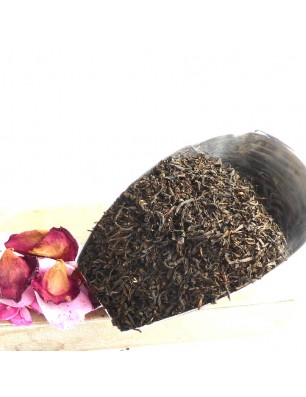 thé noir bio fumé lapsang souchong