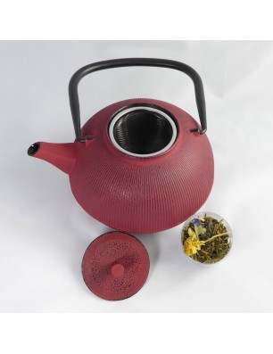 Théière en fonte Yunnan