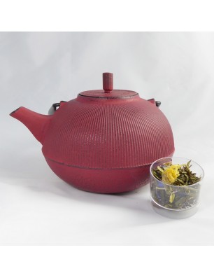 Théière en fonte Yunnan