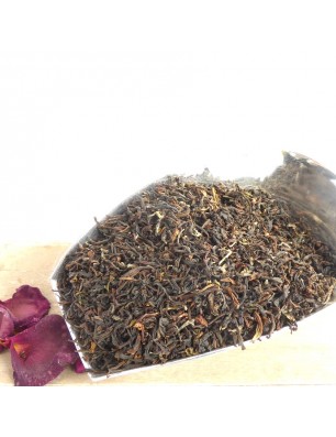 thé noir bio darjeeling