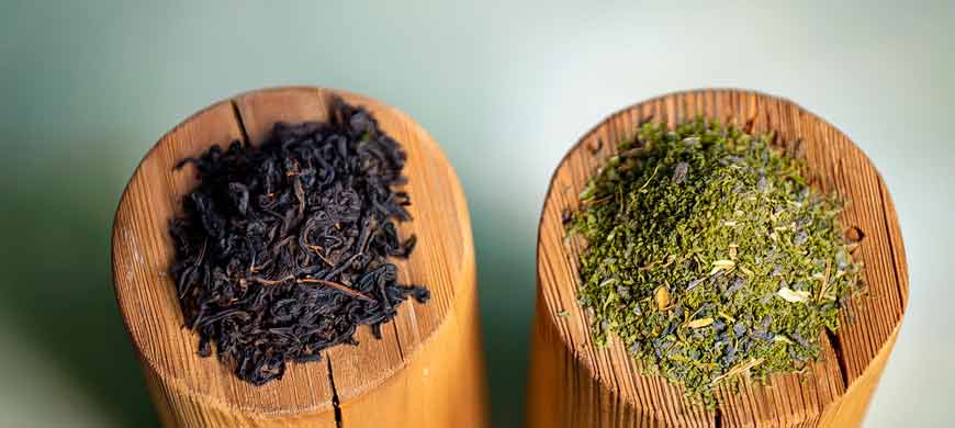 Thé vert ou thé noir : quelle variété choisir ?