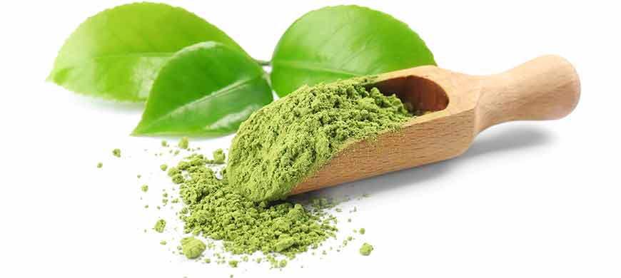 Qu'est ce que le matcha ?